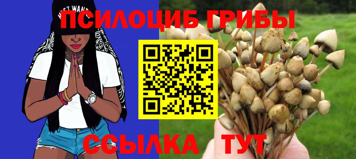 Котовск  Псилоцибиновые грибы Cubensis  Вход с VPN  Псилоцибиновые грибы MAGIC MUSHROOMS 